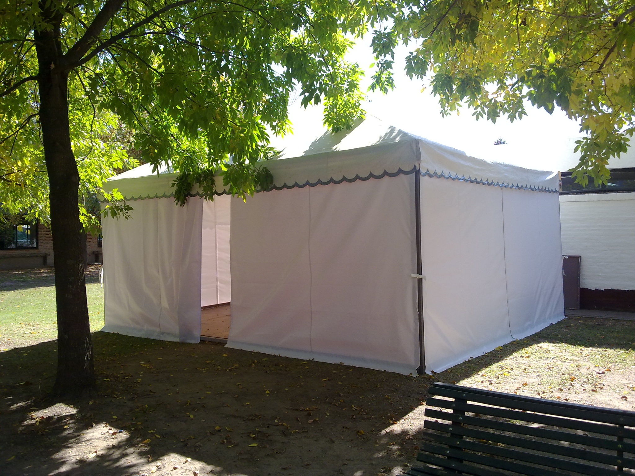 Carpa 1